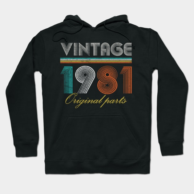 Vintage 1981 Retro 40 Year Old 40th Birthday Gift Men Women Hoodie by sufian